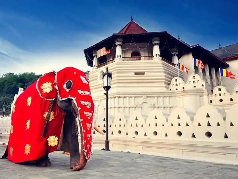 wanderlust-tips-viet-nam-lot-top-quoc-gia-duoc-du-khach-yeu-thich-nhat-16