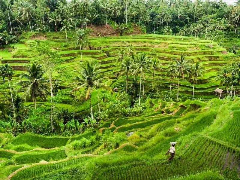 wanderlust-tips-viet-nam-lot-top-quoc-gia-duoc-du-khach-yeu-thich-nhat-18