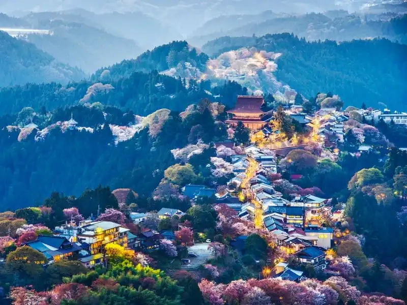 wanderlust-tips-viet-nam-lot-top-quoc-gia-duoc-du-khach-yeu-thich-nhat-20