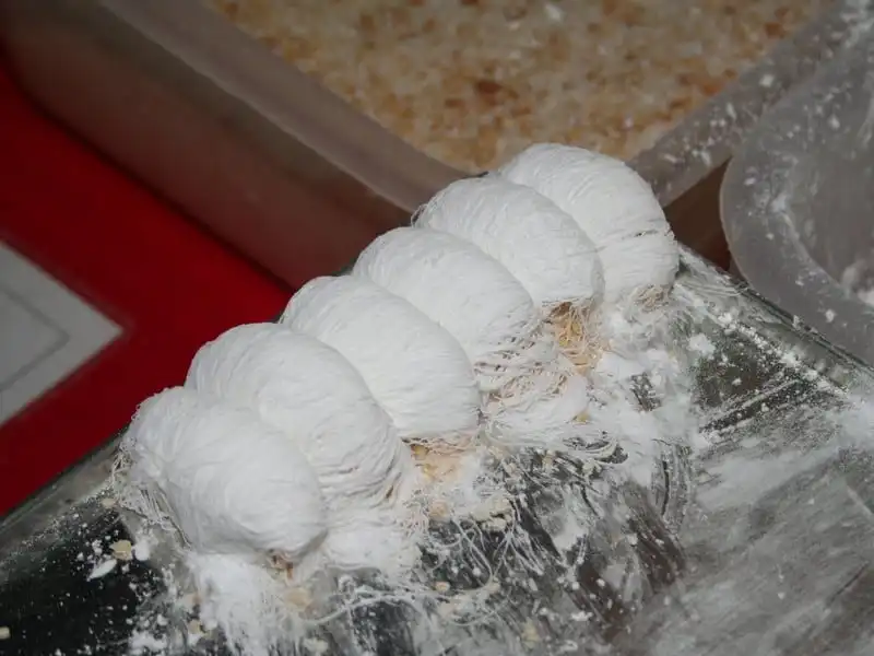 wanderlust-tips-vong-quanh-the-gioi-kham-pha-24-mon-trang-mieng-ngon-nhat-12