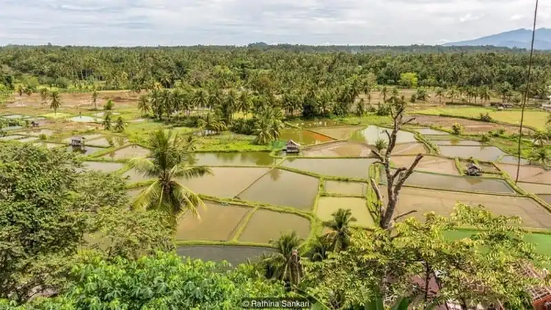 wanderlust-tips-vung-dat-o-indonesia-noi-phu-nu-nam-moi-quyen-luc-2