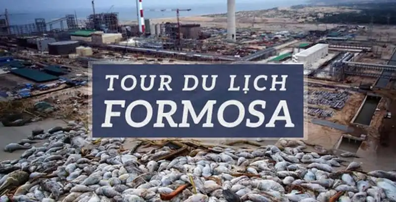 wanderlust-tips-y-kien-trai-chieu-ve-tour-du-lich-formosa-1
