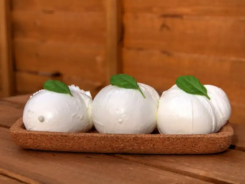 Mozzarella di bufala còn được gọi là pho mai trâu, được làm từ sữa con trâu, và là phô mai tươi được làm và ăn ngay trong ngày.