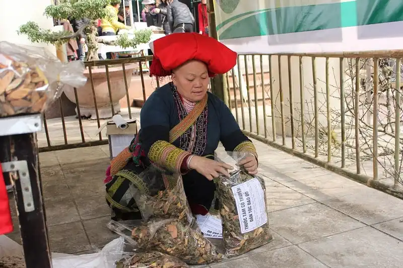 wanderlust_tips_5_trai_nghiem_khong_the_bo_qua_khi_den_sapa_1
