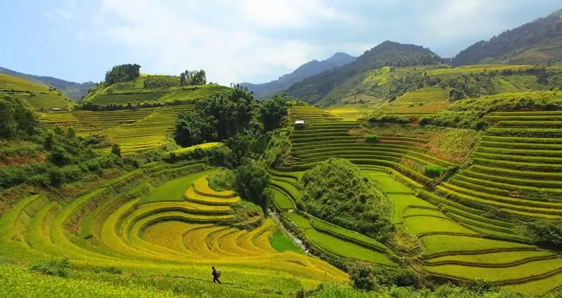 wanderlust_tips_6_diem_ngam_mua_thu_o_Lao_cai_1