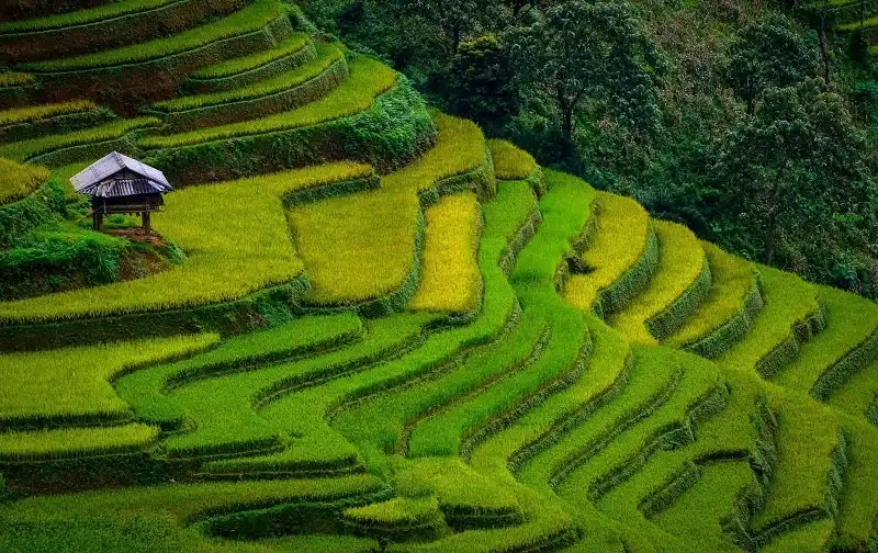 wanderlust_tips_6_diem_ngam_mua_thu_o_Lao_cai_5