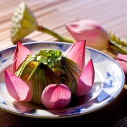 wanderlust tips 7 dac san dong thap mua nuoc noi 4