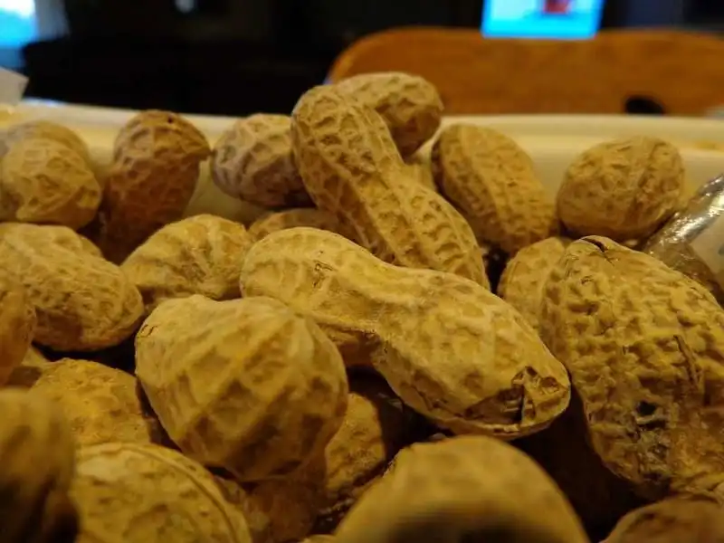 wanderlust_tips_7_loai_thuc_pham_khong_nen_an_tren_may_bay_7