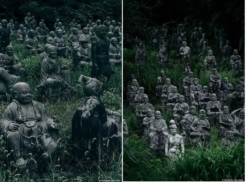 wanderlust_tips_800-pho-tuong-an-hien-giua-nhung-bui-cay-o-cong-vien-bo-hoang-Nhat-Ban-2