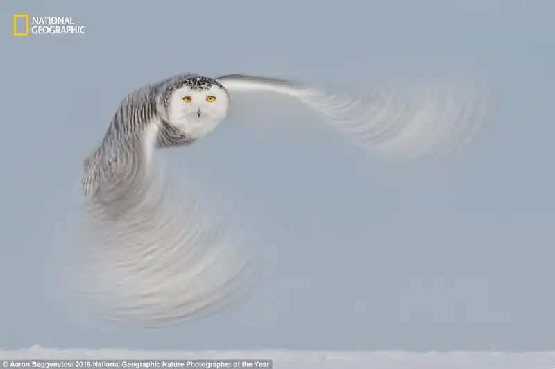 wanderlust_tips_Me-hoac-ve-dep-thien-nhien-trong-nhung-buc-anh-du-thi-cua-National-Geographic-11