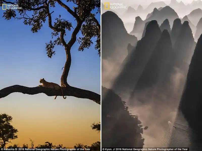 wanderlust_tips_Me-hoac-ve-dep-thien-nhien-trong-nhung-buc-anh-du-thi-cua-National-Geographic-14