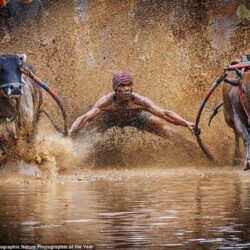 wanderlust tips Me hoac ve dep thien nhien trong nhung buc anh du thi cua National Geographic 2 1