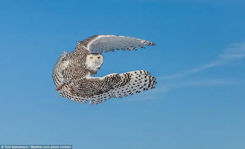 wanderlust_tips_Nghet-tho-khung-canh-thien-nhien-trong-nhung-buc-anh-dep-nhat-cua-Amazing-out-there-6