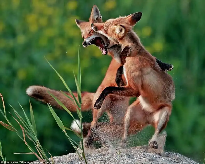 wanderlust_tips_Nghet-tho-khung-canh-thien-nhien-trong-nhung-buc-anh-dep-nhat-cua-Amazing-out-there-7