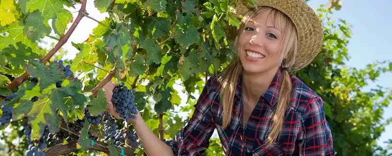 Úc sẽ giảm mức thuế đánh vào thu nhập của du khách 6 wanderlust_tips_Uc-se-giam-muc-thue-de-xuat-danh-vao-thu-nhap-cua-cac-backpacker-1