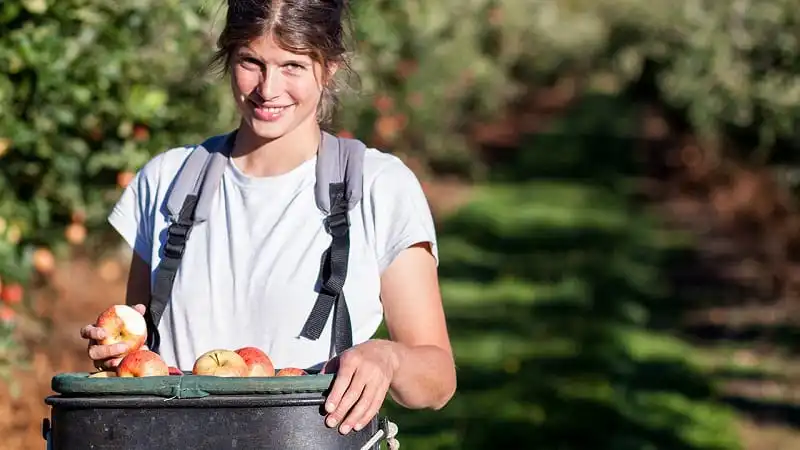 Úc sẽ giảm mức thuế đánh vào thu nhập của du khách 5 wanderlust_tips_Uc-se-giam-muc-thue-de-xuat-danh-vao-thu-nhap-cua-cac-backpacker-2