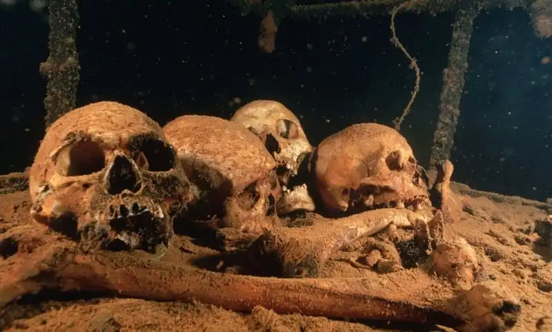 ca. 1980s-1990s --- Japanese skulls from a World War II shipwreck in Truk Lagoon. | Location: Near Papua New Guinea. --- Image by © Amos Nachoum/Corbis