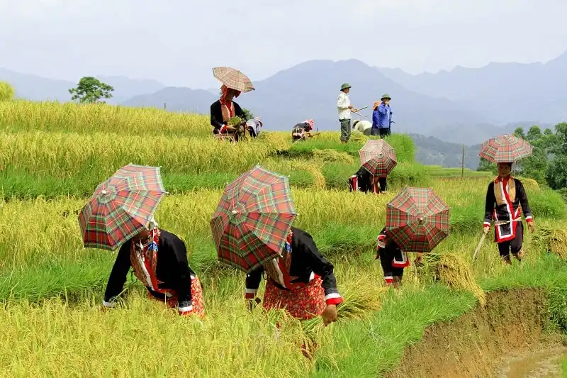 Độc đáo Bình Liêu – Điểm phượt mới ở biên giới phía Bắc 6 wanderlust_tips_binh_lieu_2