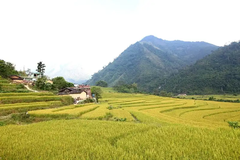 Độc đáo Bình Liêu – Điểm phượt mới ở biên giới phía Bắc 8 wanderlust_tips_binh_lieu_3