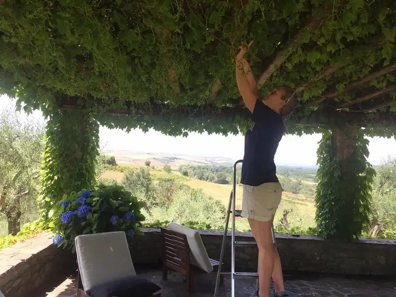 wanderlust_tips_cap_doi_tiet_lo_bi_mat_du_lich_the_gioi_mien_phi_9