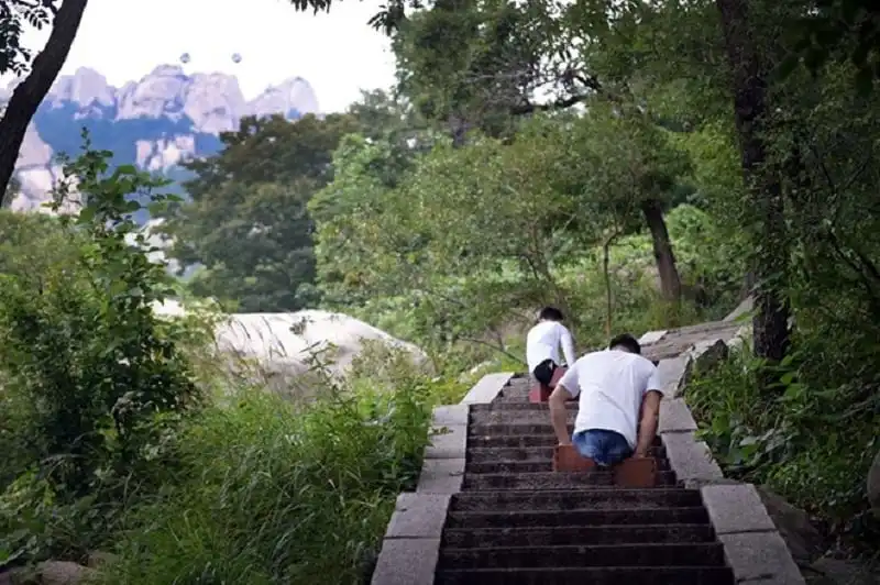 wanderlust_tips_cau-be-cut-chan-chinh-phuc-ngon-nui-900m-bang-tay-6