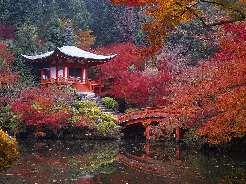 Daigo Temple and BentendoFushimi Kyoto Japan Mountain Tree Pond temple Bridge Red leaves Precincts of a temple Fallen leaves