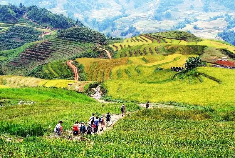 wanderlust_tips_kham_pha_ban_cat_cat_1