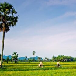 wanderlust tips kinh nghiem du lich chau doc 1