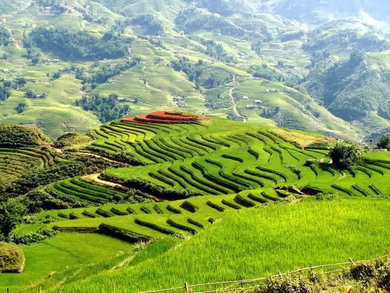 wanderlust_tips_kinh_nghiem_ngam_lua_chin_tay_bac_1