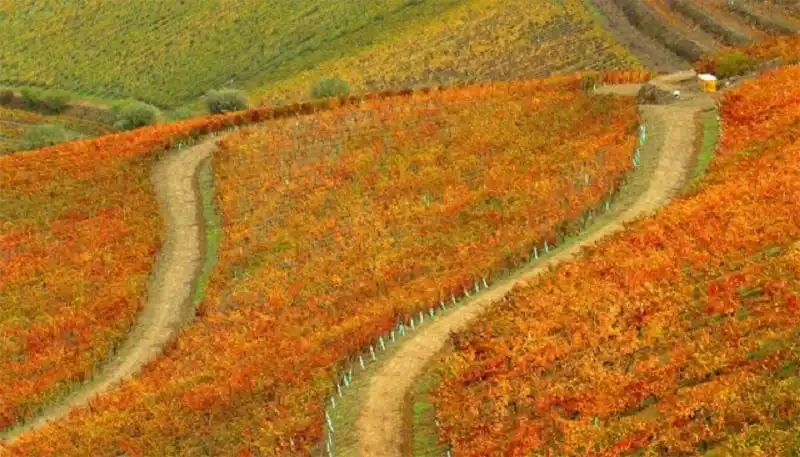 Say đắm vẻ quyến rũ của mùa thu khắp thế giới 9 wanderlust_tips_mua_thu_the_gioi_5