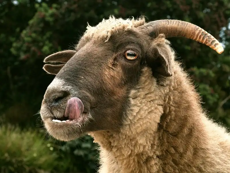 wanderlust_tips_nhung-quan-niem-me-tin-ky-quai-nhat-the-gioi-3