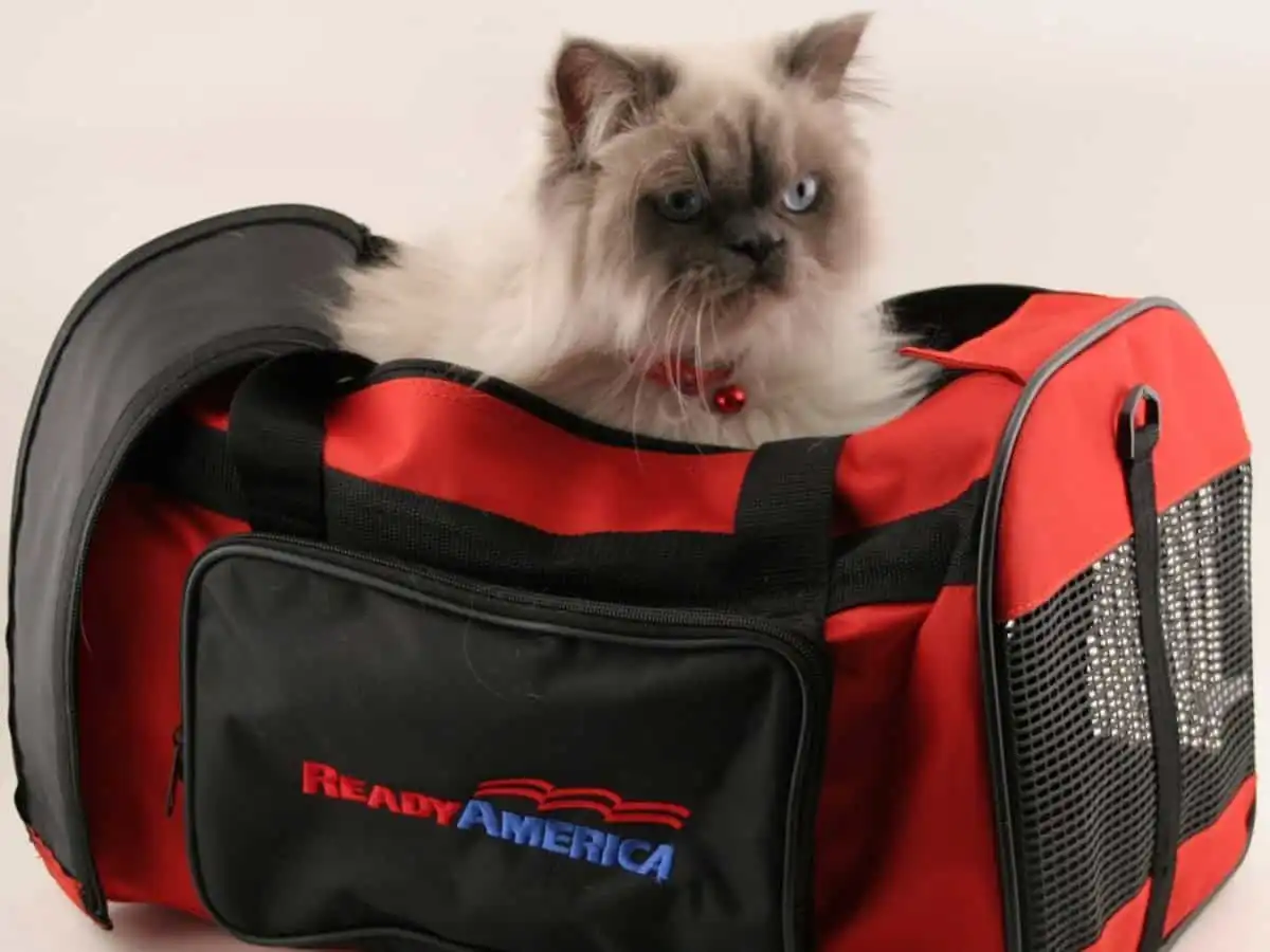 wanderlust_tips_nhung-quan-niem-me-tin-ky-quai-nhat-the-gioi-7