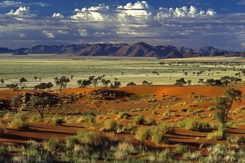 Tok Tokkie desert landscape - Namib Rand reserve - Namib desrt - Namibia - Africa