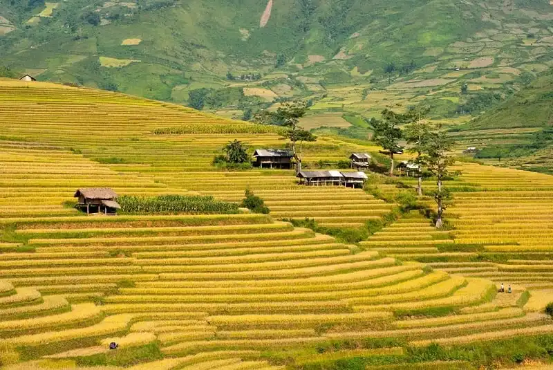 wanderlust_tips_san_anh_mua_vang_tay_bac_1