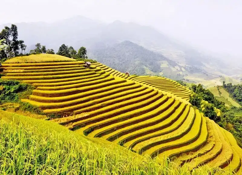 wanderlust_tips_san_anh_mua_vang_tay_bac_3