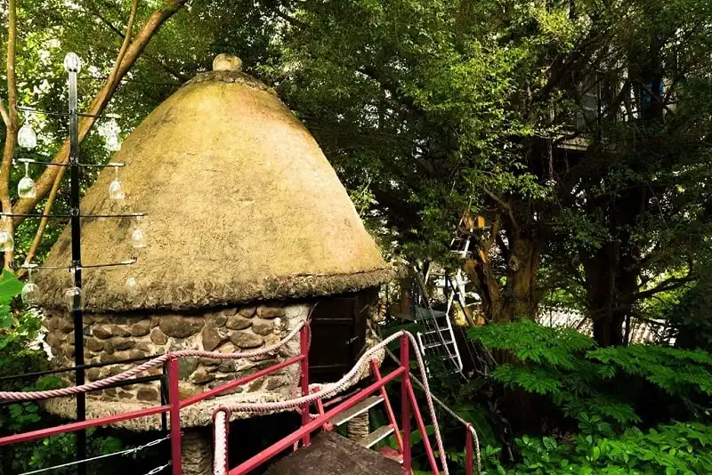 Doc-dao-nha-cay-cua-nghe-sy-dao-anh-khanh-wanderlusttips