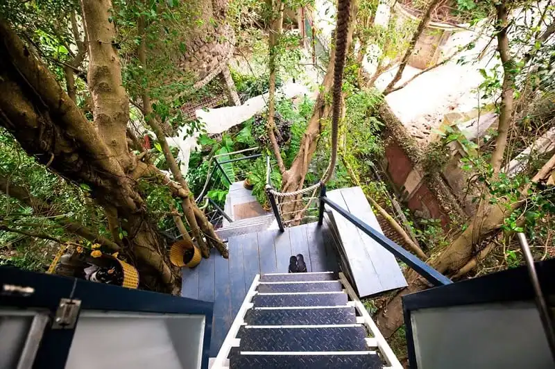 Doc-dao-nha-cay-cua-nghe-sy-dao-anh-khanh-wanderlusttips3