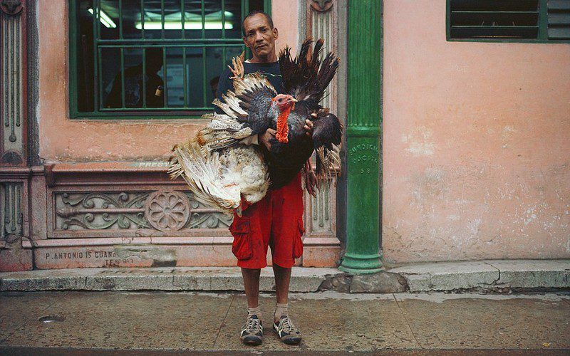 Tạp chí Du lịch Wanderlust Tips Mê hoặc sắc màu Cuba trong những bức ảnh đời thường của Gina Nero