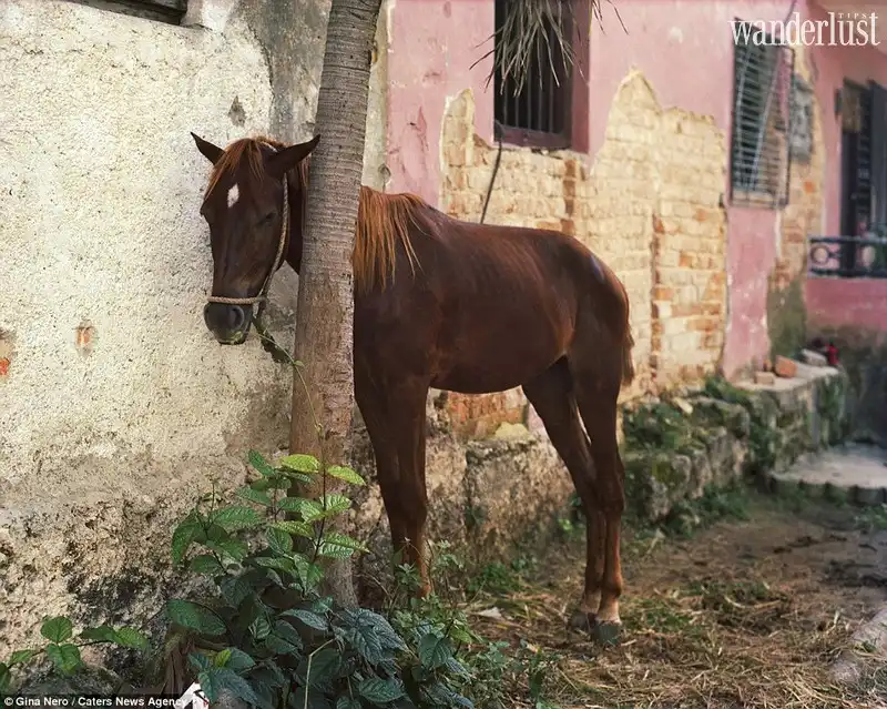 Wanderlust Tips me hoac sac mau cuba trong nhung buc anh doi thuong cua gina nero 08