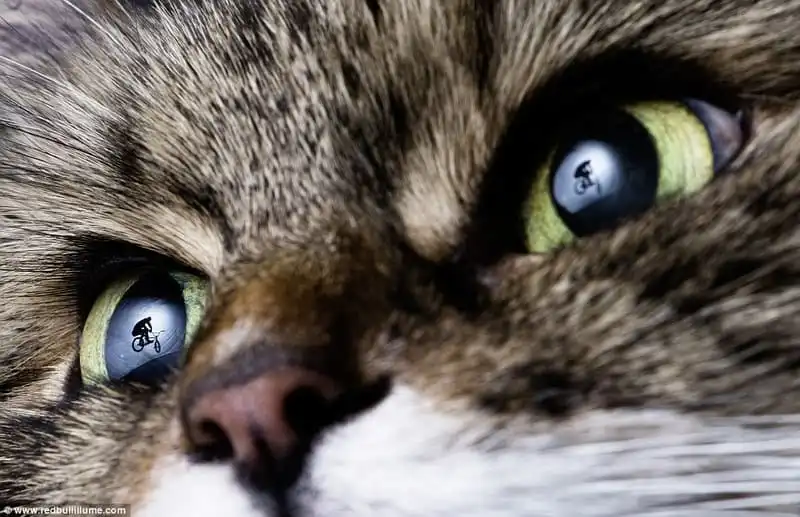 Wanderlust_Ngoan-muc-nhung-buc-anh-dep-nhat-Red-Bull-Illume-Awards-17