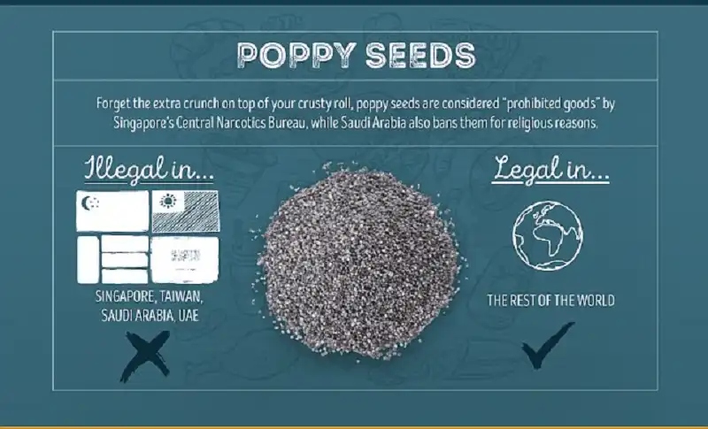 Wanderlust_tips_Nhung-mon-an-bi-cam-o-cac-nuoc-khac-nhau-tren-the-gioi- (10)