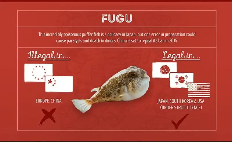 Wanderlust_tips_Nhung-mon-an-bi-cam-o-cac-nuoc-khac-nhau-tren-the-gioi- (12)