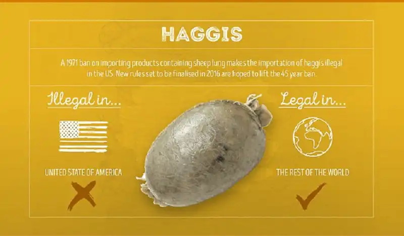 Wanderlust_tips_Nhung-mon-an-bi-cam-o-cac-nuoc-khac-nhau-tren-the-gioi- (5)