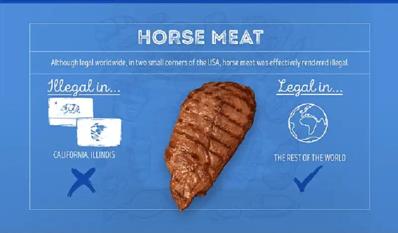 Wanderlust_tips_Nhung-mon-an-bi-cam-o-cac-nuoc-khac-nhau-tren-the-gioi- (8)