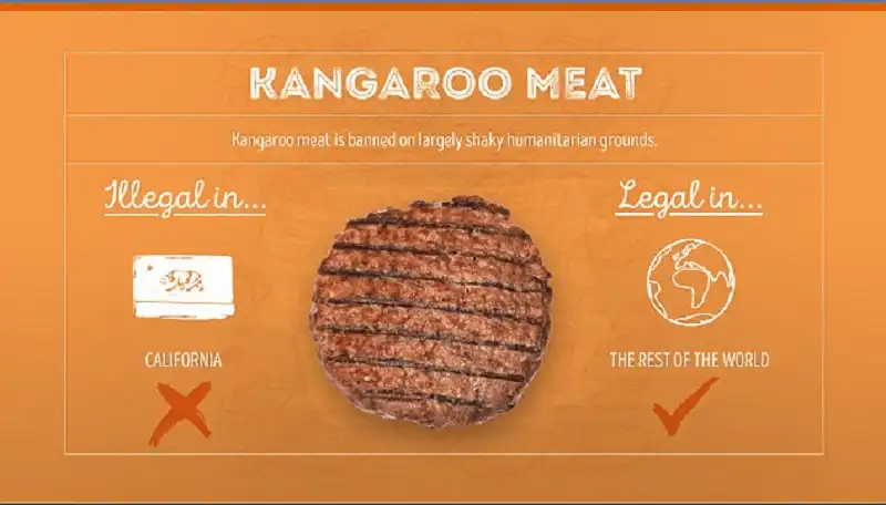 Wanderlust_tips_Nhung-mon-an-bi-cam-o-cac-nuoc-khac-nhau-tren-the-gioi- (9)