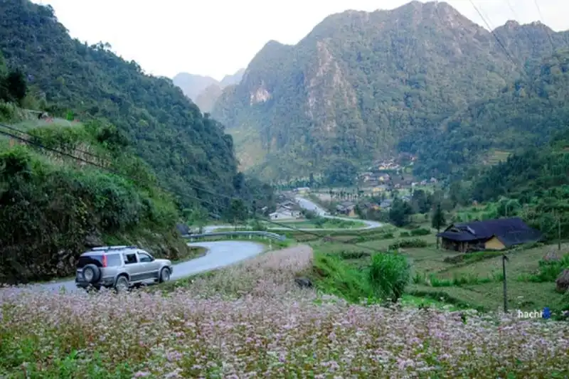 160 lều bạt giá 150.000 đồng phục vụ lượng khách quá tải ở Hà Giang 6 wanderlust-tip-160-leu-bat-gia-150000-dong-phuc-vu-luong-khach-qua-tai-o-ha-giang-2