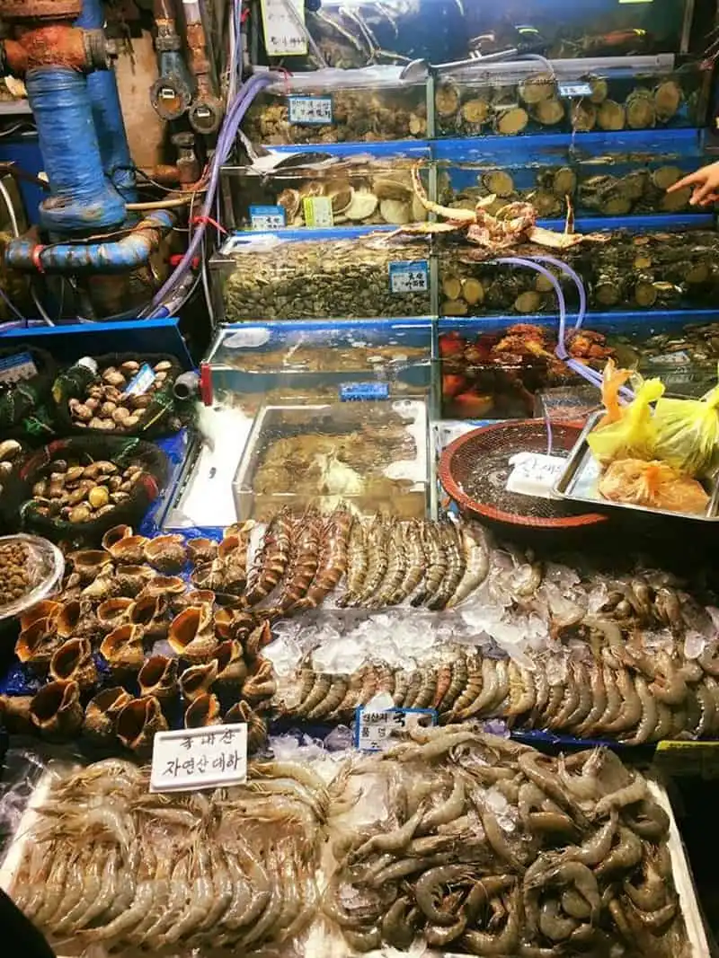 wanderlust-tip-kinh-nghiem-du-lich-han-quoc-7-ngay-cua-cap-doi-sai-gon-15