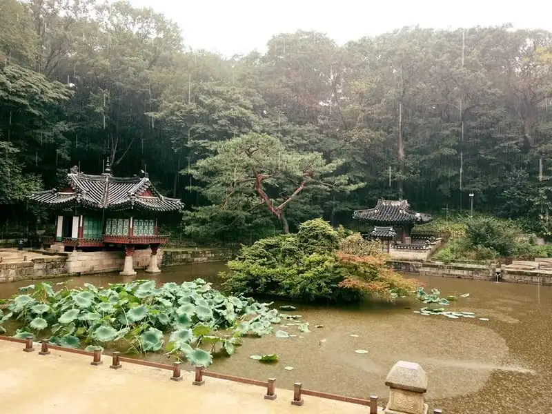 wanderlust-tip-kinh-nghiem-du-lich-han-quoc-7-ngay-cua-cap-doi-sai-gon-40