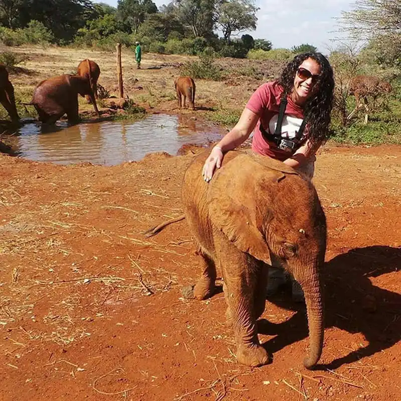 Thú vị những hình ảnh voi và đà điểu thân thiết tại trạm cứu hộ ở Kenya 6 wanderlust-tip-thu-vi-nhung-hinh-anh-voi-va-da-dieu-than-thiet-tai-trai-cuu-ho-o-kenya-1