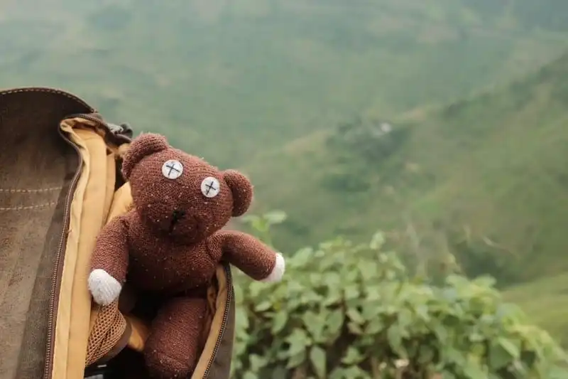 wanderlust-tips-chang-trai-du-lich-xuyen-viet-cung-gau-teddy-1
